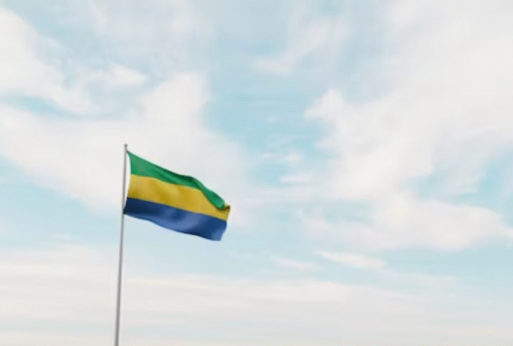 Gabon Launches Legal Framework to Accelerate Digital Public Services