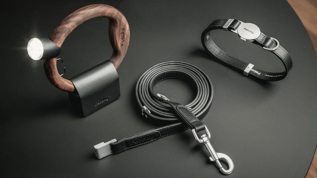 Fetchly Magnetic Dog Walking System