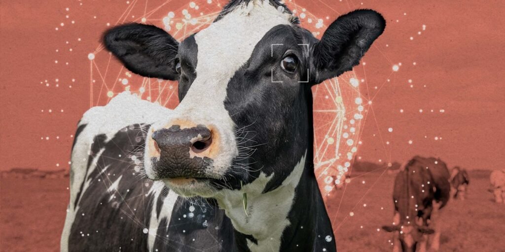 The Download: animal welfare gets AGI-pilled, and the White House unveils its AI policy