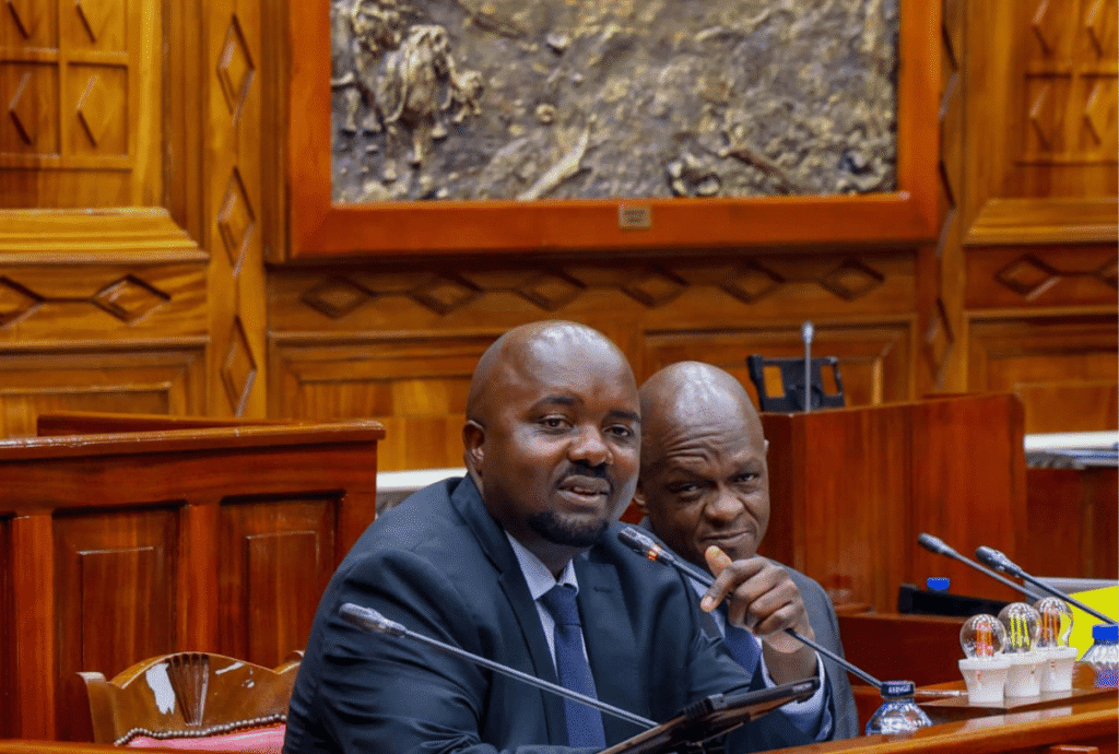 eCitizen Grows to 22,000 Services as Kenya Briefs Parliament on Digital Platform Audit