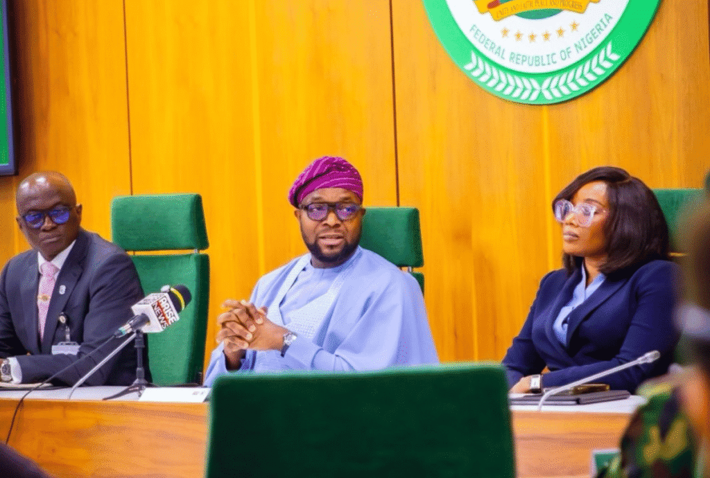 Nigeria Unveils Plans for Nationwide Digital Addressing System to Boost Services and Security